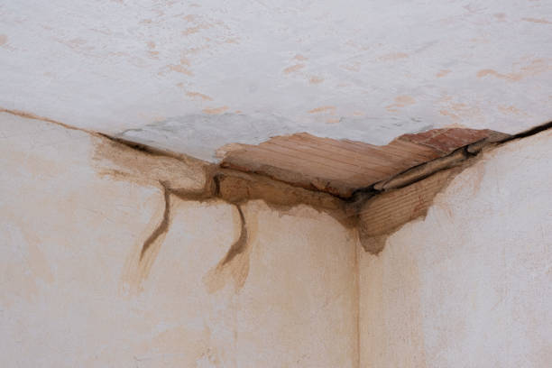 Best Water damage restoration mold remediation  in Teaticket, MA