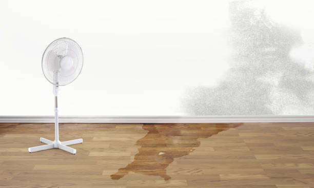 Best Professional water damage repair  in Teaticket, MA