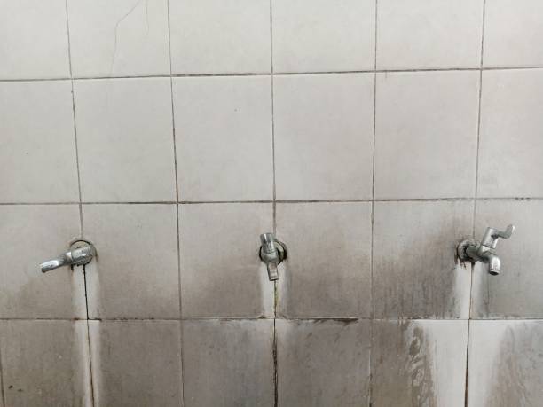Best Flood damage cleanup  in Teaticket, MA
