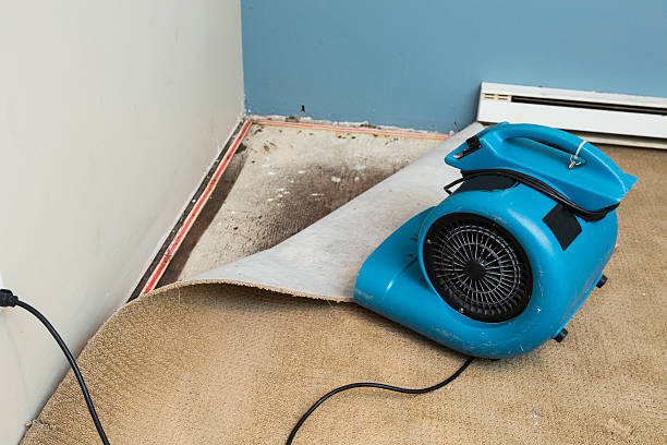 Water damage restoration mold remediation in Teaticket, MA